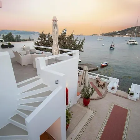 8 Beaufort * Pollonia